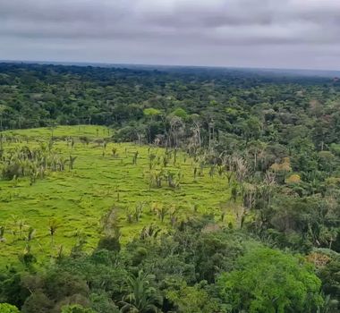 Imagem - Mercado de carbono é visto como oportunidade de negócios, aponta CNI