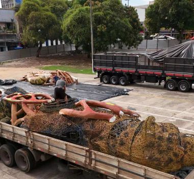 Imagem - Alegorias da Grande Rio chegam a Belém e transformam Praça da Bandeira para a COP30