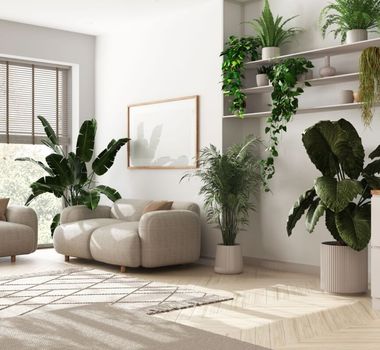 Imagem - 5 dicas para incorporar a biofilia na decoração