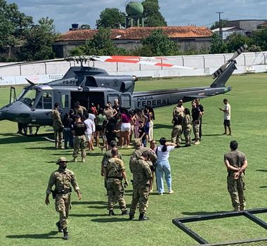 Imagem - PF erradica 120 mil pés de maconha no Pará em operação próxima à terra indígena