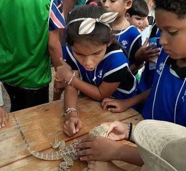 Imagem - Visitação ao Centro Amazônico de Herpetologia, em Benevides, é interrompida para reformas