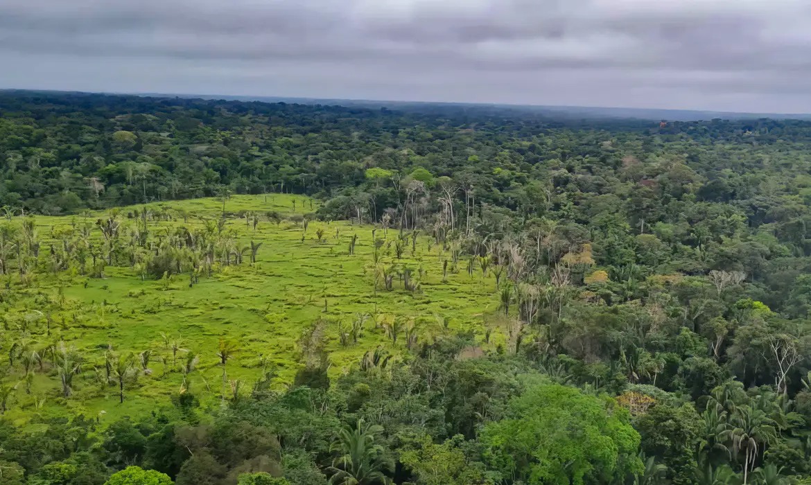 Imagem - Mercado de carbono é visto como oportunidade de negócios, aponta CNI