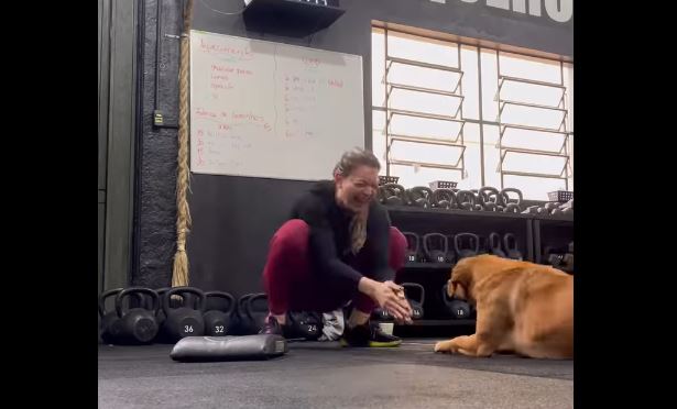 Imagem - Cachorro entra na vibe fitness e viraliza ao treinar com fisioterapeuta no RS; assista