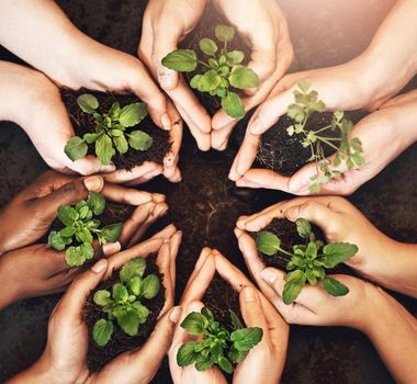 Imagem - Mobilização social: iniciativa mapeia eventos extraoficiais ligados à COP30