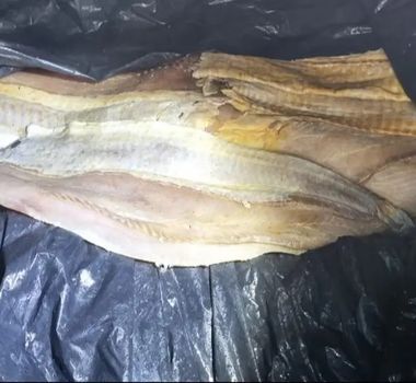 Imagem - Cerca de 16 toneladas de pescado avaliadas em R$ 46 mil são apreendidas no Pará