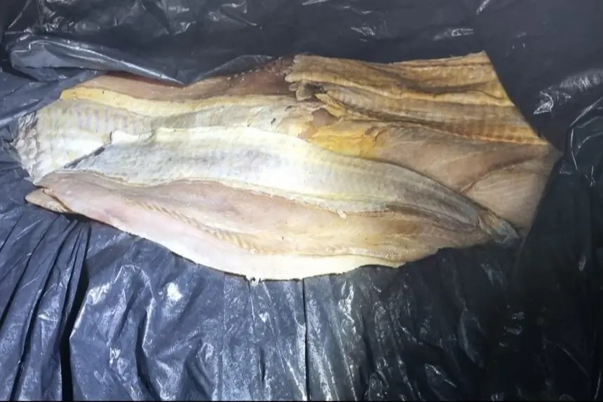 Cerca de 16 toneladas de pescado da espécie pirapitinga em Santarém, no Baixo Amazonas. 