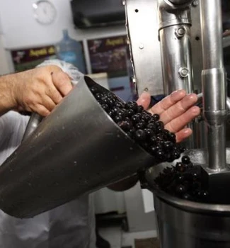 Imagem - Preço do açaí registra queda em julho, mas acumula alta acima da inflação em Belém, diz Dieese
