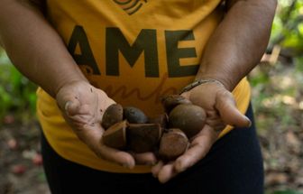 Produtores e empreendedores de Belém participam de audiência sobre alimentação na COP30