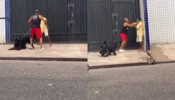 Vídeo mostra cães acompanhando os donos em uma confusão de vizinhos em Ananindeua.