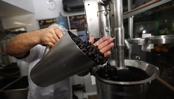 Preço do açaí registra queda em julho, mas acumula alta acima da inflação em Belém, diz Dieese