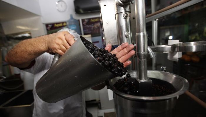 Imagem - Preço do açaí registra queda em julho, mas acumula alta acima da inflação em Belém, diz Dieese
