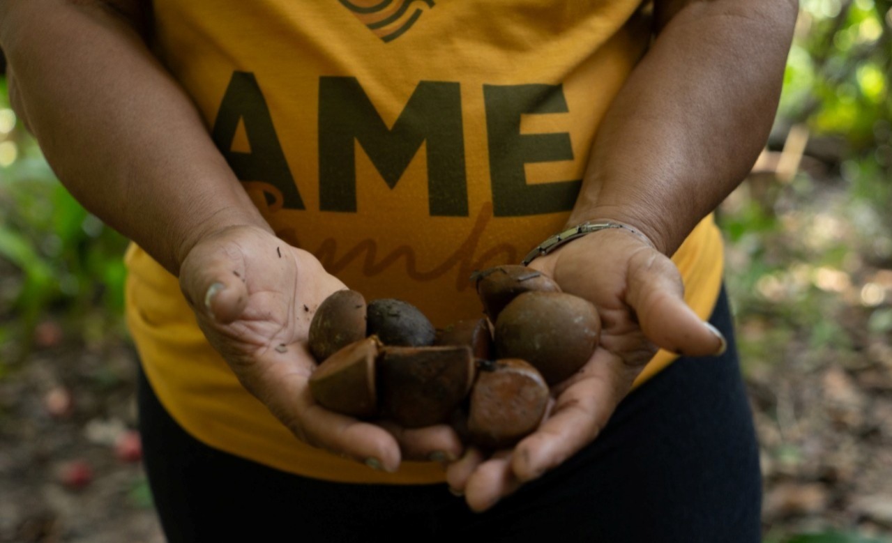 Imagem - Produtores e empreendedores de Belém participam de audiência sobre alimentação na COP30