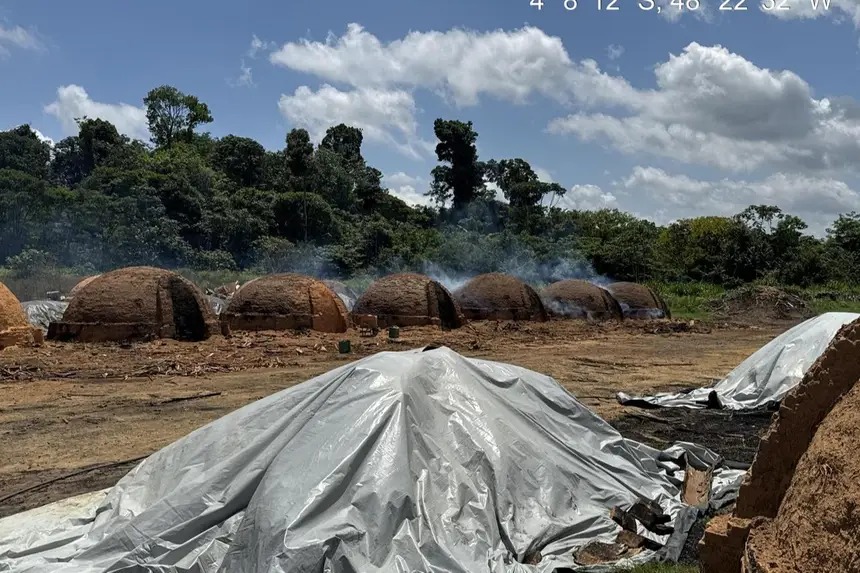 Imagem - Homem é preso por transportar e queimar material florestal de origem ilícita no Pará