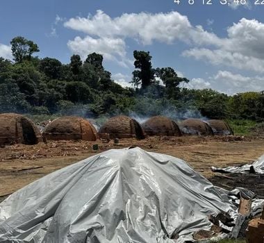 Imagem - Homem é preso por transportar e queimar material florestal de origem ilícita no Pará