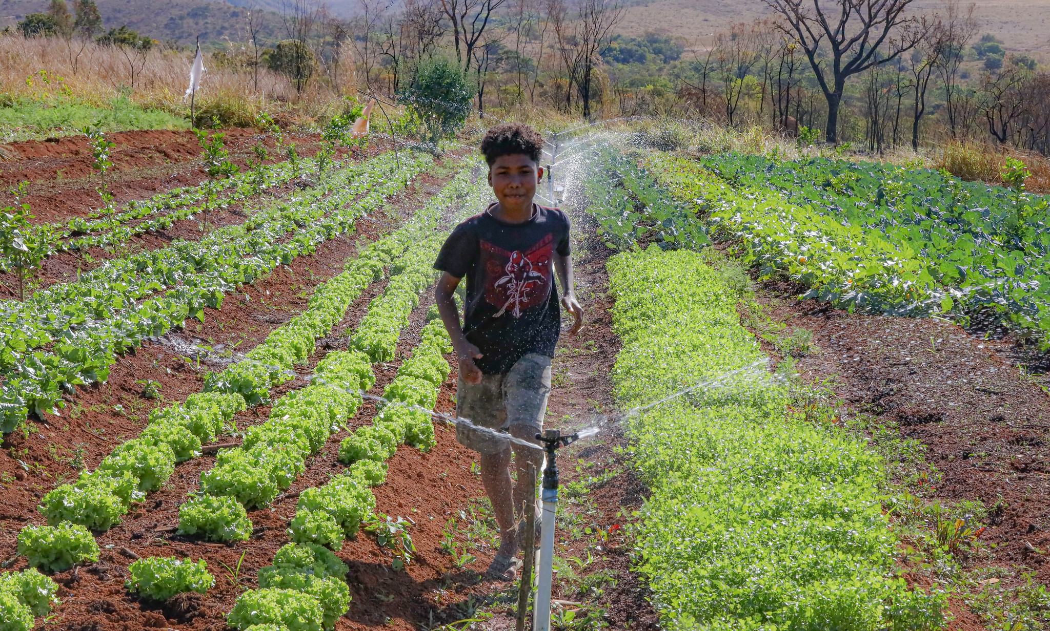 Ações estratégicas mitigam a fome e a pobreza nas cidades paraenses - 