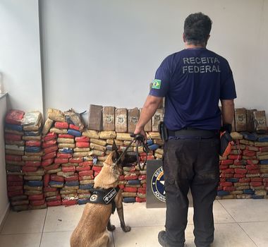 Imagem - Em Ananindeua, mais de 300 tabletes de drogas são apreendidos em caminhão