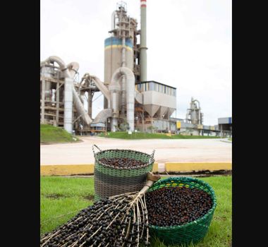 Imagem - Edital vai contemplar soluções sustentáveis com foco na COP30
