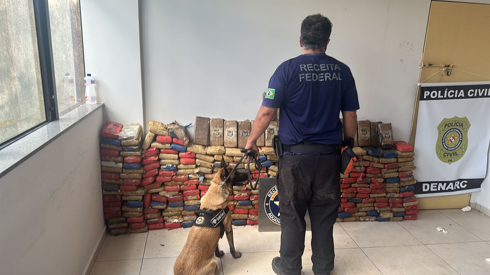 Imagem - Em Ananindeua, mais de 300 tabletes de drogas são apreendidos em caminhão