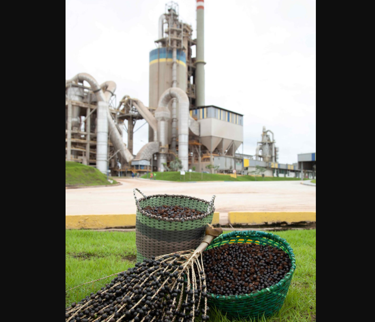 Empresa utiliza caroços de açaí na produção de cimento. 