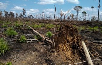 Pará decreta emergência ambiental e climática por 180 dias