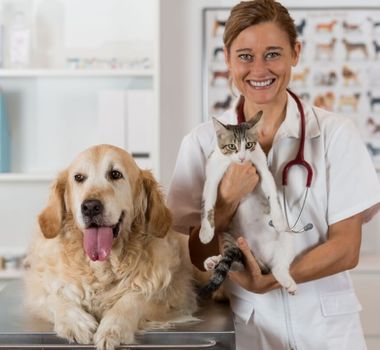 Imagem - Veja qual é a idade certa para realizar a castração do seu pet