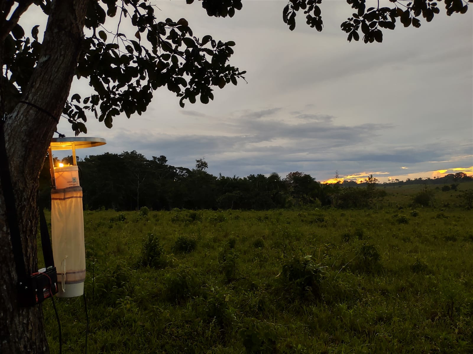 Áreas degradadas colocam em risco a população