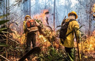 Brasil reduz focos de incêndio na Amazônia e Pantanal