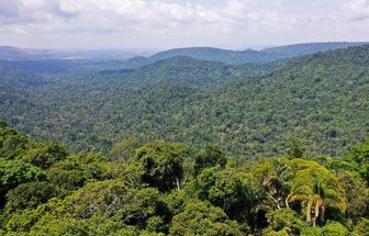 Quatro pessoas morrem após queda de avião na floresta amazônica