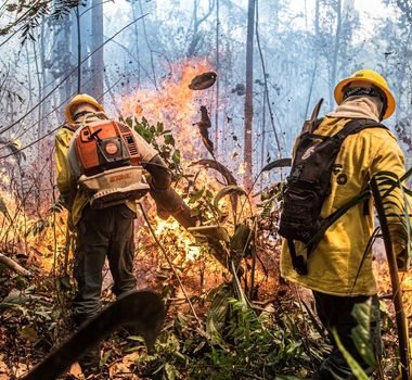 Imagem - Brasil reduz focos de incêndio na Amazônia e Pantanal
