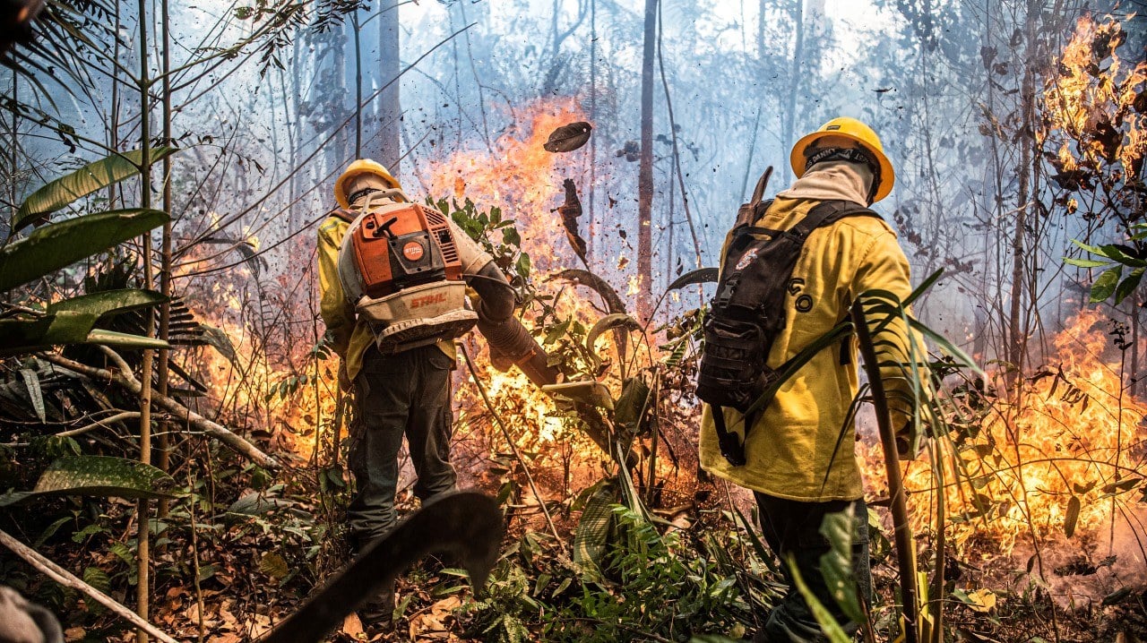 Brasil consegue reduzir focos de incêndio as vésperas da COP30