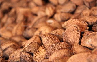 Açaí, banana-da-terra e castanha-do-pará ajudam a enriquecer o leite materno; entenda