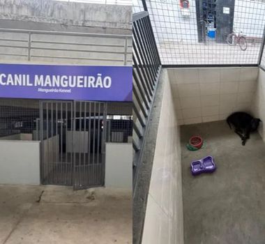 Imagem - Mangueirão ganha canil para cães que vivem no estádio desde a pandemia
