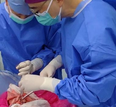 Imagem - Pulmão de porco modificado geneticamente é usado em transplante humano pioneiro