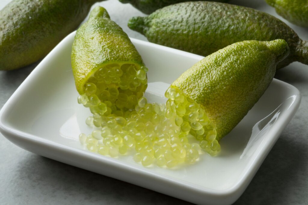 O limão-caviar tem esferas semelhantes às ovas de peixe (Imagem: Picture Partners | Shutterstock)