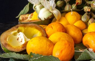 5 benefícios do pequi para a saúde e como prepará-lo