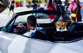 Ananindeua recebe Garagem Retrô com exposição de carros clássicos