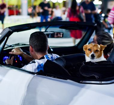 Imagem - Ananindeua recebe Garagem Retrô com exposição de carros clássicos