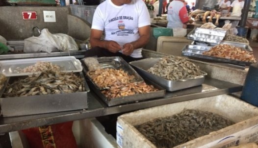 As bancas expõem peixes e camarões frescos, no Ver-o-Peso.