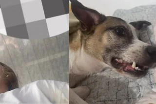 Passageira denuncia tratamento com pet durante viagem de balsa no Marajó