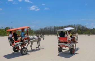 Algodoal discute mobilidade sustentável e reforça protagonismo do Pará no turismo sustentável amazônico