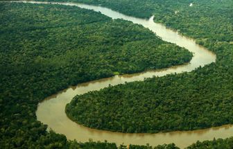 Fundos sustentáveis crescem 48% em ano de COP30, mas representatividade no total é tímida