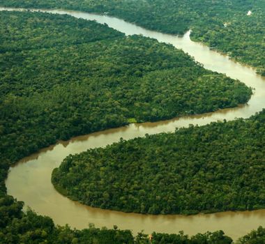 Imagem - Fundos sustentáveis crescem 48% em ano de COP30, mas representatividade no total é tímida