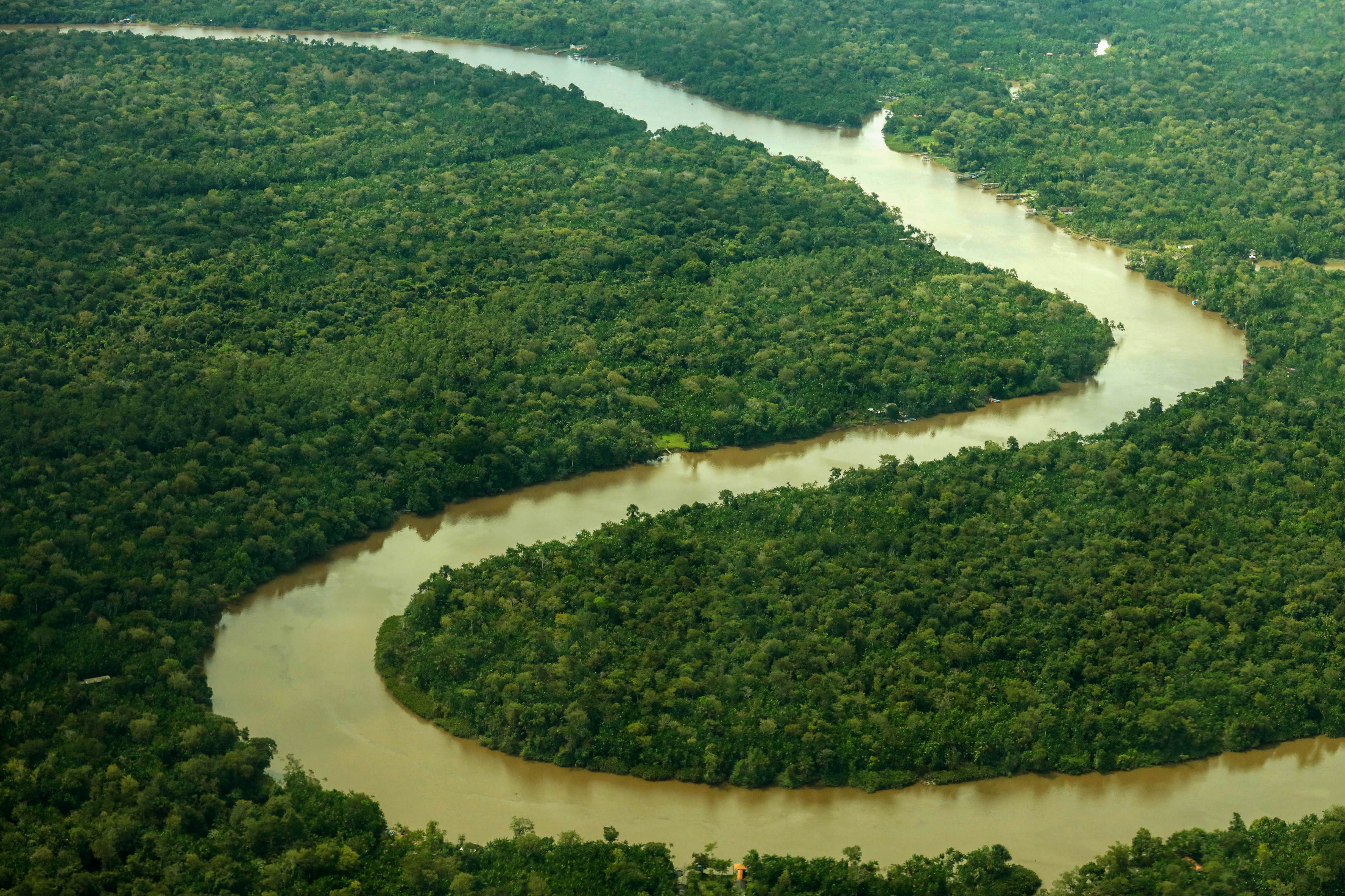 Floresta amazônica