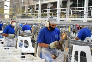 Belém lidera geração de empregos formais no Pará em 2025