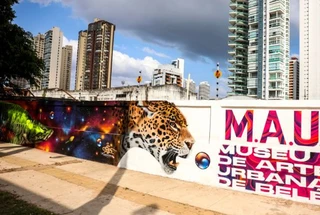 Museu de Arte Urbana de Belém lança edital para intervenção inédita no Museu Goeldi