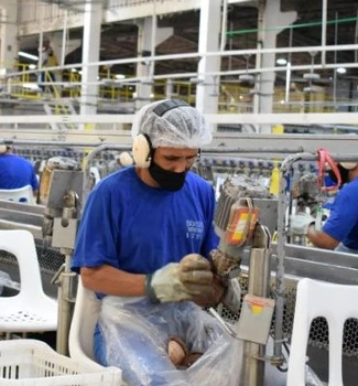 Imagem - Belém lidera geração de empregos formais no Pará em 2025