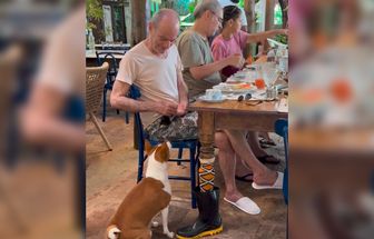 Ney Matogrosso alimenta cachorro em restaurante e vídeo fofo encanta fãs; assista