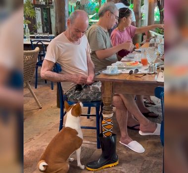 Imagem - Ney Matogrosso alimenta cachorro em restaurante e vídeo fofo encanta fãs; assista