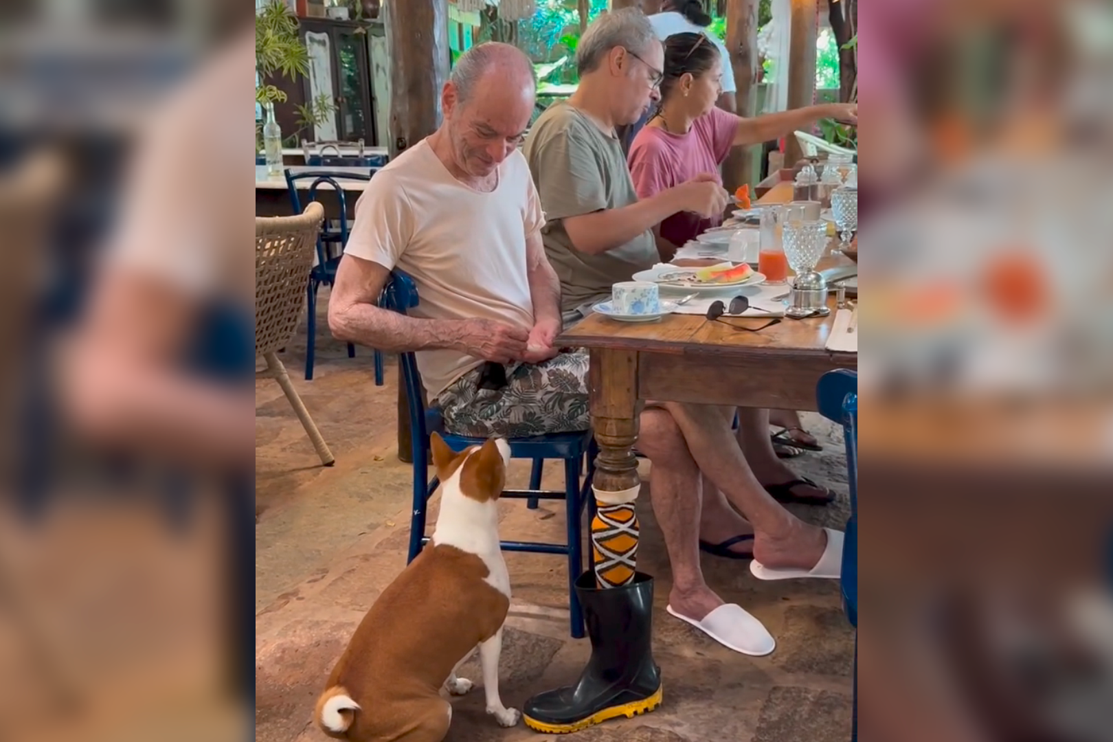 Imagem - Ney Matogrosso alimenta cachorro em restaurante e vídeo fofo encanta fãs; assista