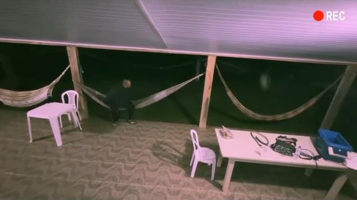 Imagem - 'Cuidado com a onça': pescador se assusta com rugido misterioso e repercute na web